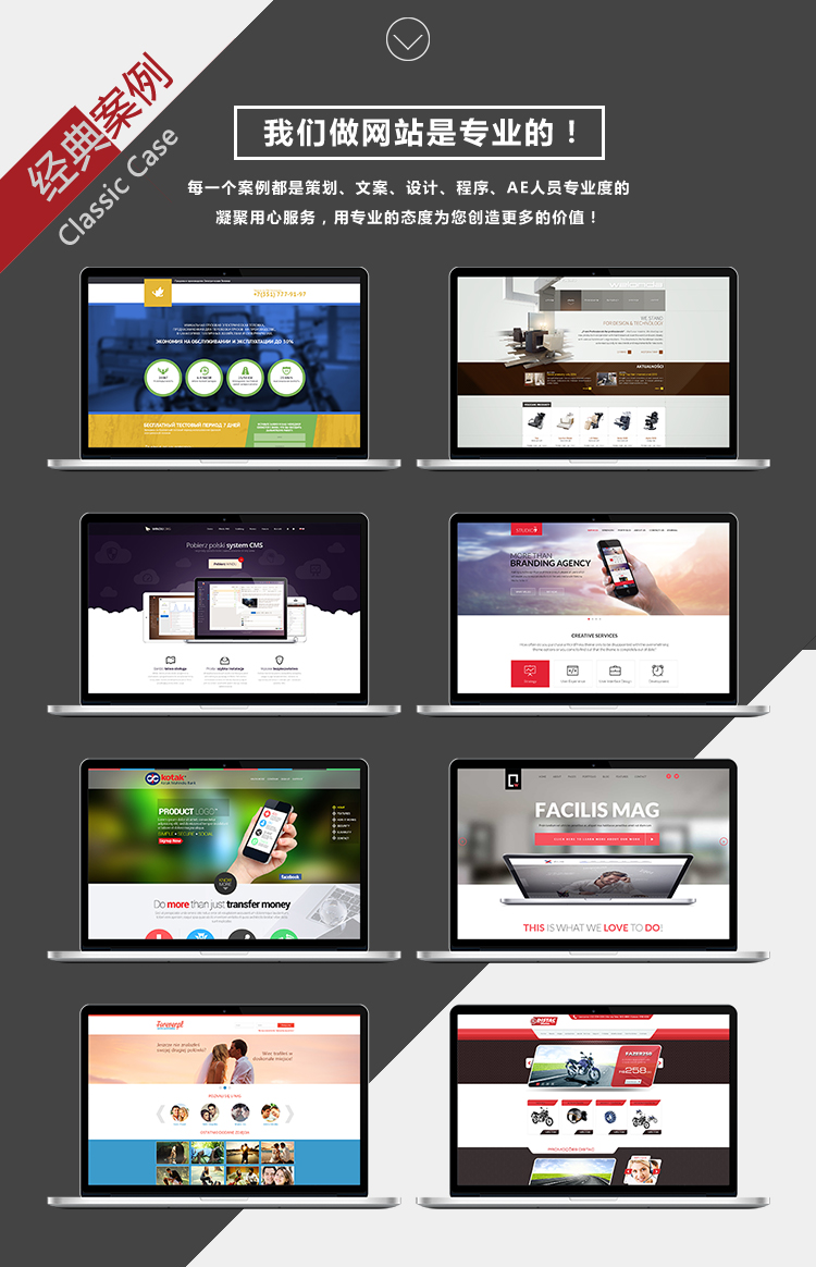 从仿站到定制 解析企业网站与英文商城的一站式建设解决方案